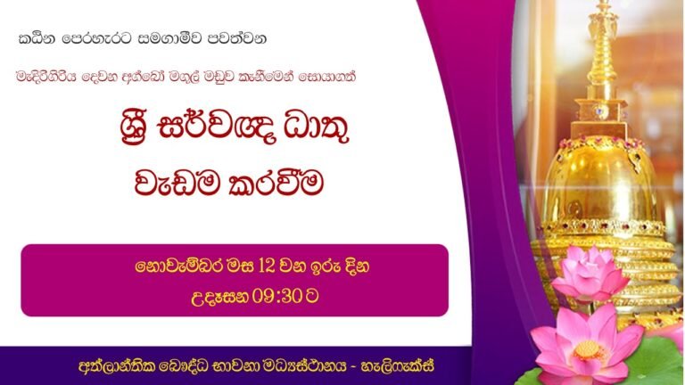 Dispaly of Relics of Buddha and Katina Parade